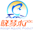 首页-wxq_en